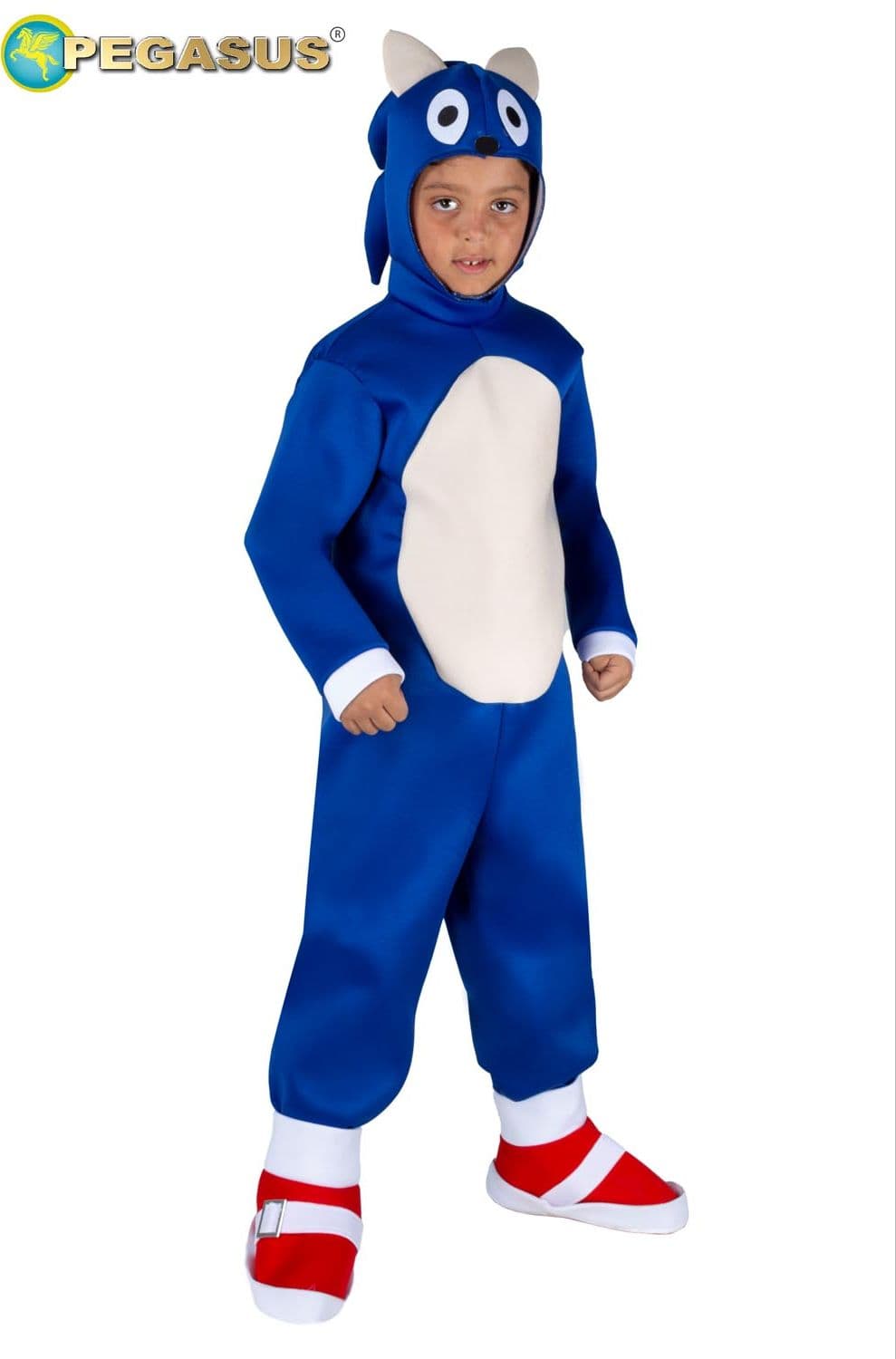 COSTUME CARNEVALE SUPER RICCIO BAMBINO DA 3 A 6 ANNI - PEGASUS COD. 0025 - 5