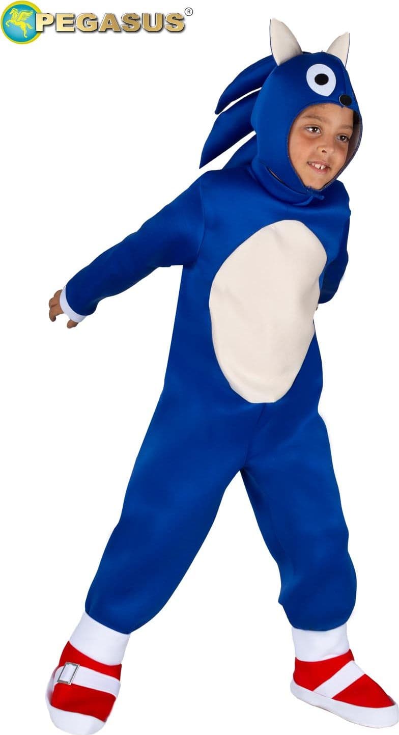 COSTUME CARNEVALE SUPER RICCIO BAMBINO DA 3 A 6 ANNI - PEGASUS COD. 0025 - 2
