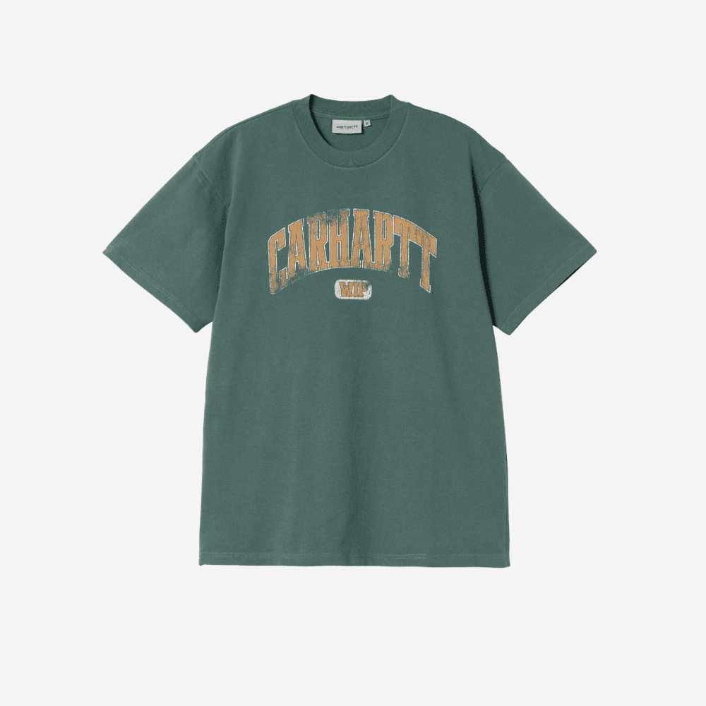 T-shirt Carhartt Lecture silver pine wash - 6