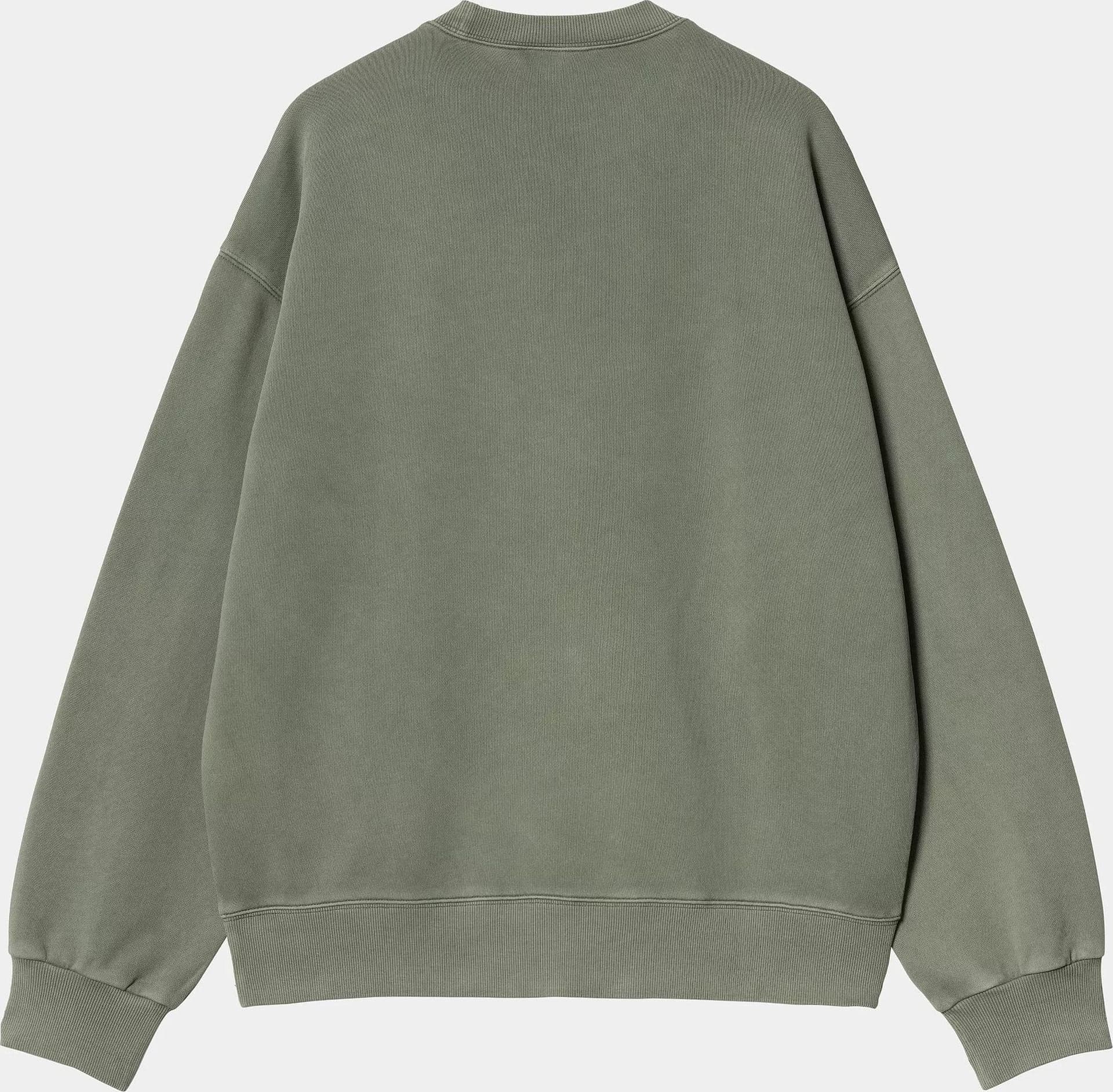 Felpa Carhartt Nelson Sweatshirt park garment dyed - 2