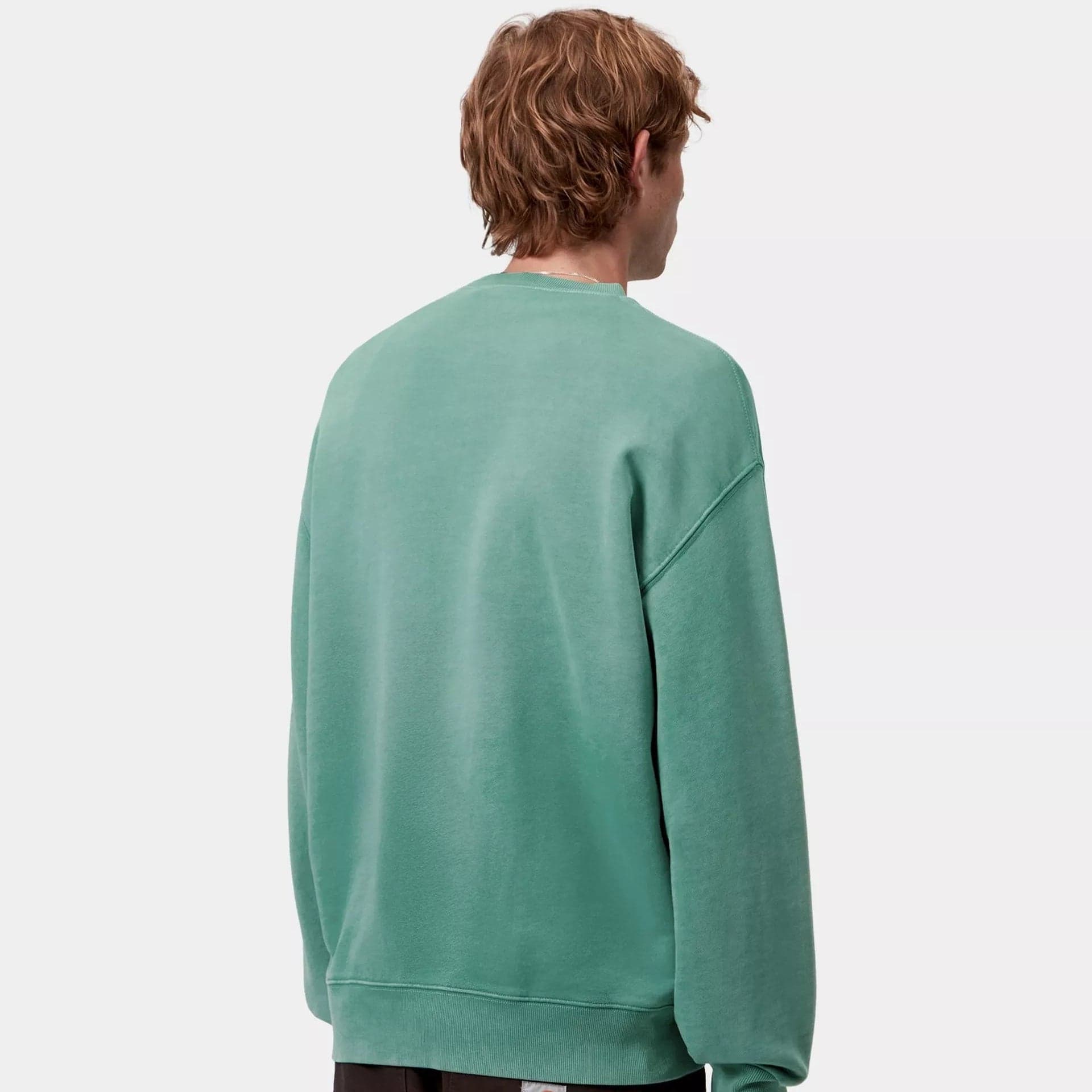 Felpa Carhartt Hudson Saguaro blk chalck wahed - 4