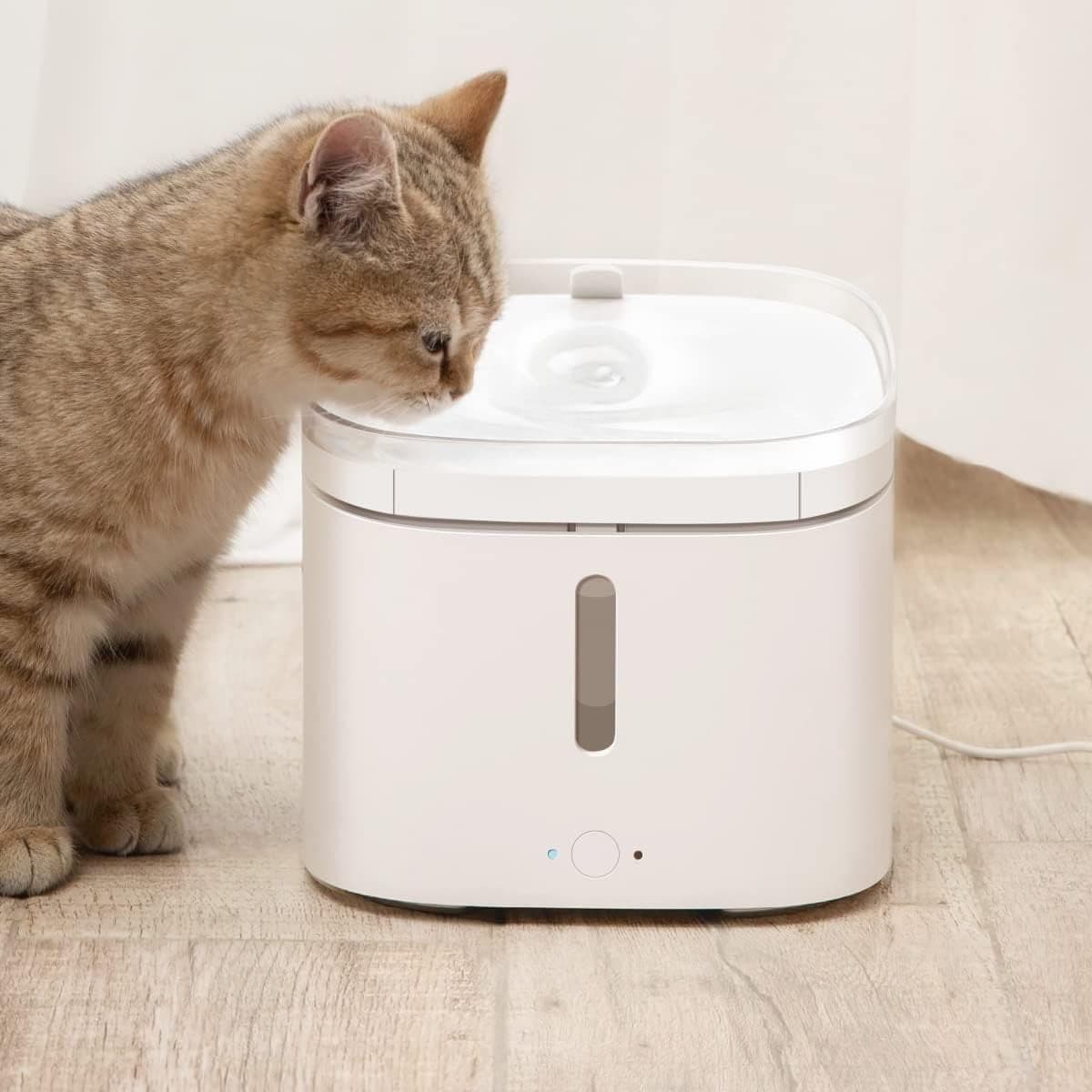 Fontana intelligente per animali domestici cani filtraggio a 4 stadi Smart Home - 2