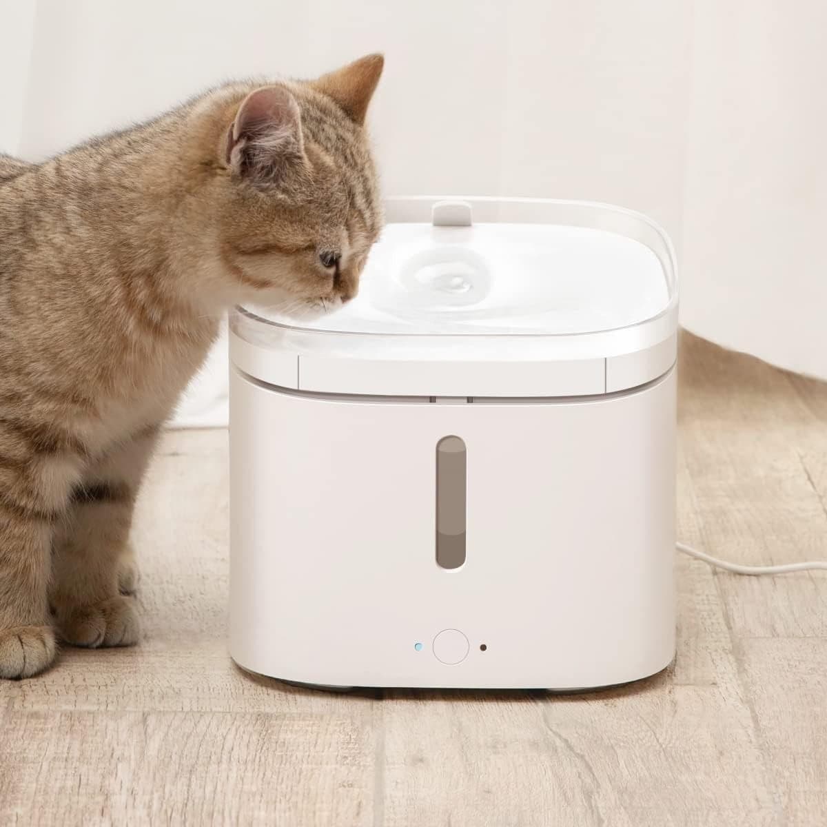 Fontana intelligente per animali domestici cani filtraggio a 4 stadi Smart Home - 2