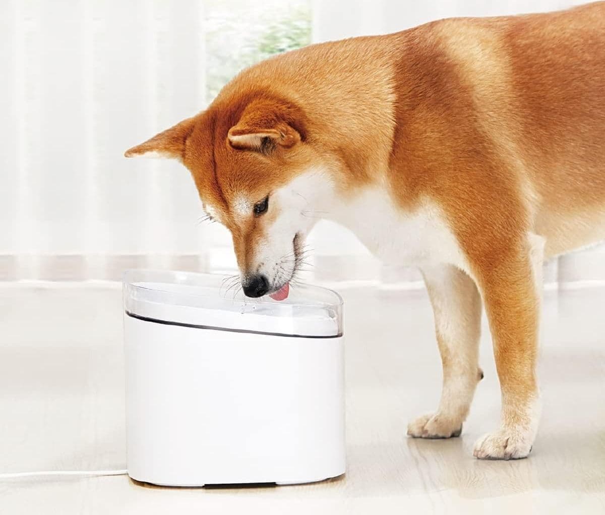 Fontana intelligente per animali domestici cani filtraggio a 4 stadi Smart Home - 9