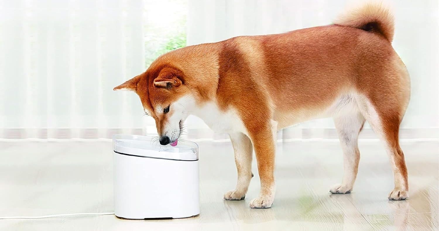 Fontana intelligente per animali domestici cani filtraggio a 4 stadi Smart Home - 10