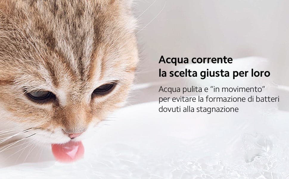 Fontana intelligente per animali domestici cani filtraggio a 4 stadi Smart Home - 11