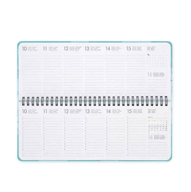 Legami - Agenda da Scrivania 13 Mesi - Desk Planner - 2026 Kitty (AG2612167) - 2
