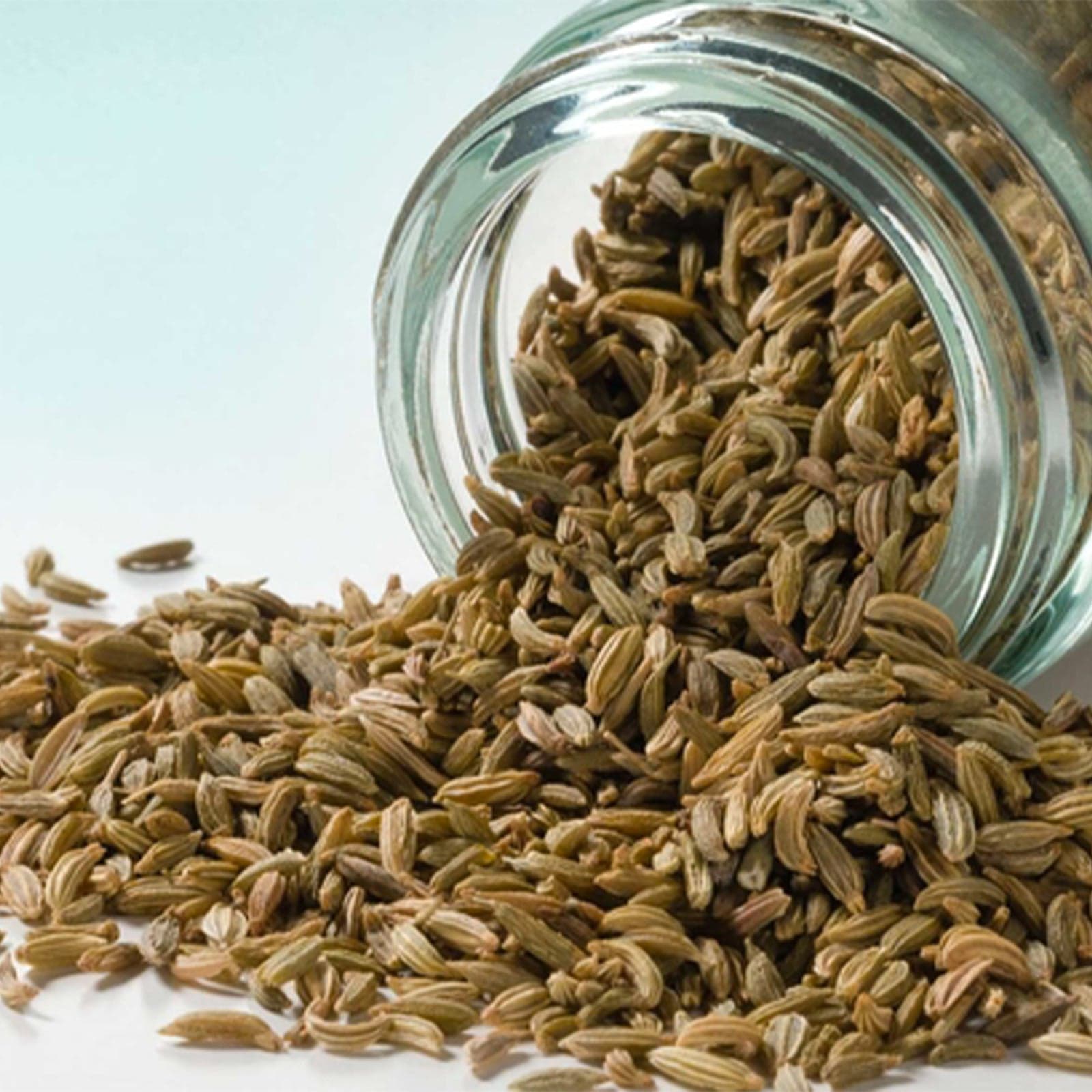 Semi di finocchietto selvatico, spezie per Alimenti da cucina ed insaccati - 3
