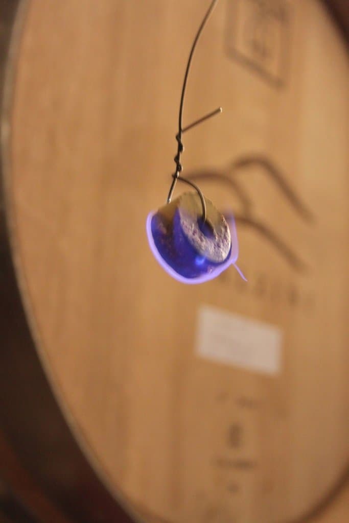 Dischi di zolfo anti gocciolanti per la disinfezione di fusti e botti di vino Confezione da 1 kg - 6