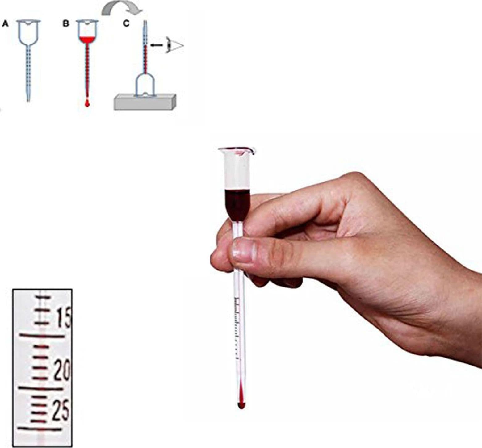 Vinometro "Bernadot" in vetro misuratore gradazione alcolica vino e mosto 13 cm - 2