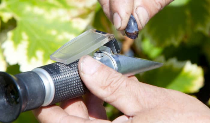 Rifrattometro a 3 scale con corpo in metallo per determinare grado zuccherino dei liquidi - 4