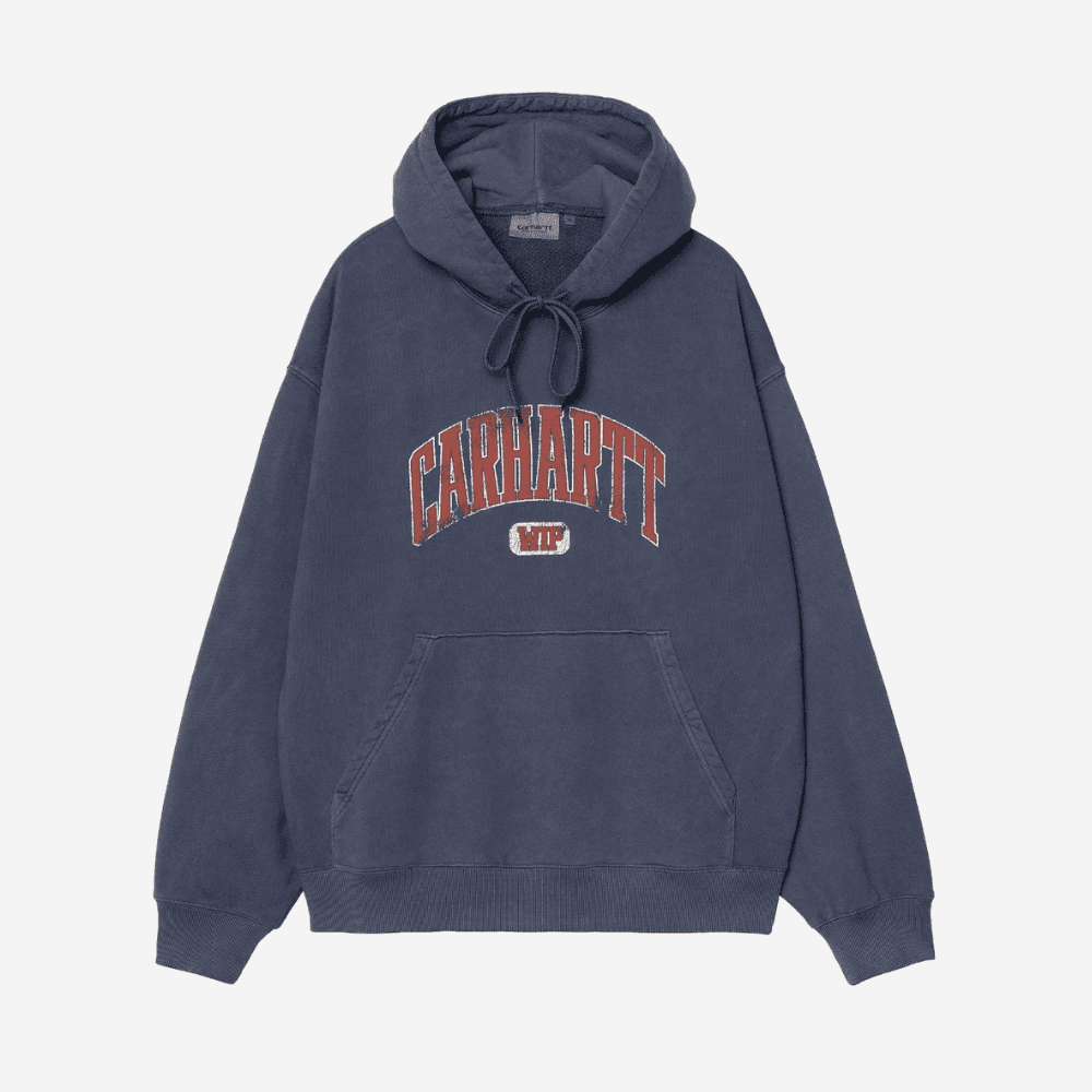 Felpa Carhartt Hooded Library ink garment dyed - 6
