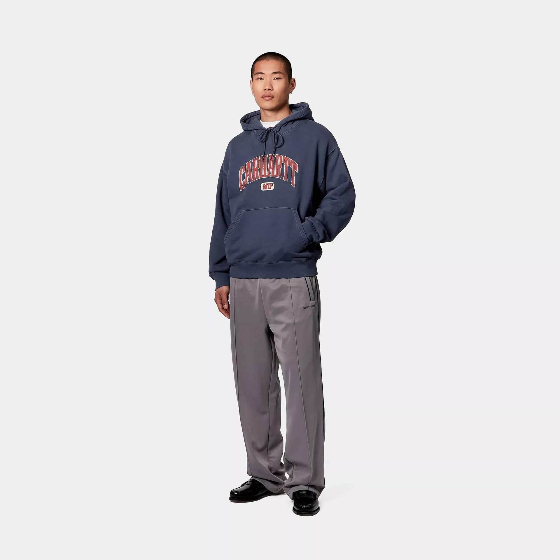 Felpa Carhartt Hooded Library ink garment dyed - 5