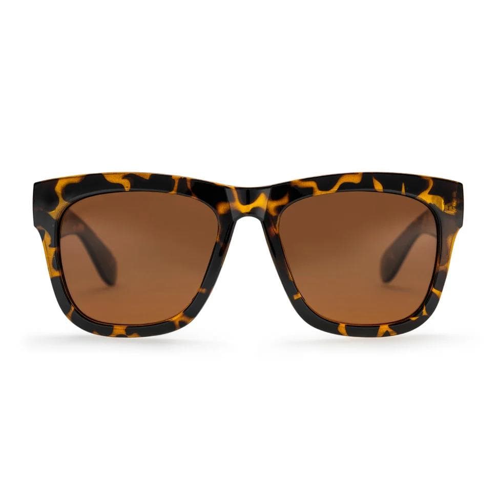 Occhiali CHPO Haze turtle brown 16131HC - 4