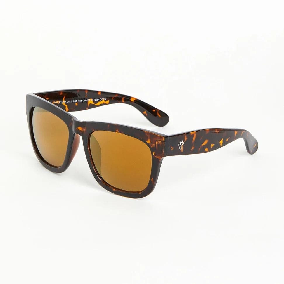 Occhiali CHPO Haze turtle brown 16131HC - 2