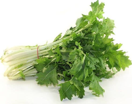Semi di cima di Rapa "Quarantina riccia S.Marzano" piante per orto e giardino