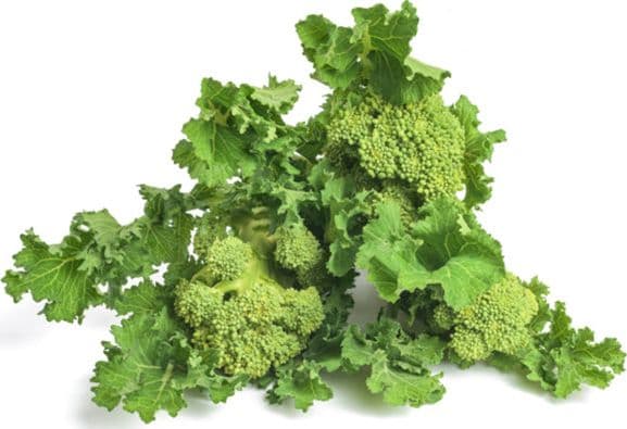 Semi di cima di Rapa "Novantina cima grossa" piante per orto e giardino