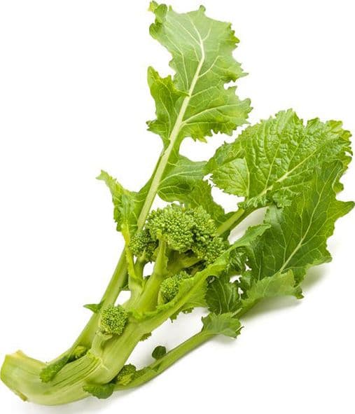 Semi di cima di Rapa "Cinquantina cima grossa" piante per orto e giardino