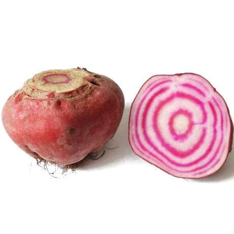 Semi di bietola "Tonda di Chioggia" piante per orto e giardino - 2