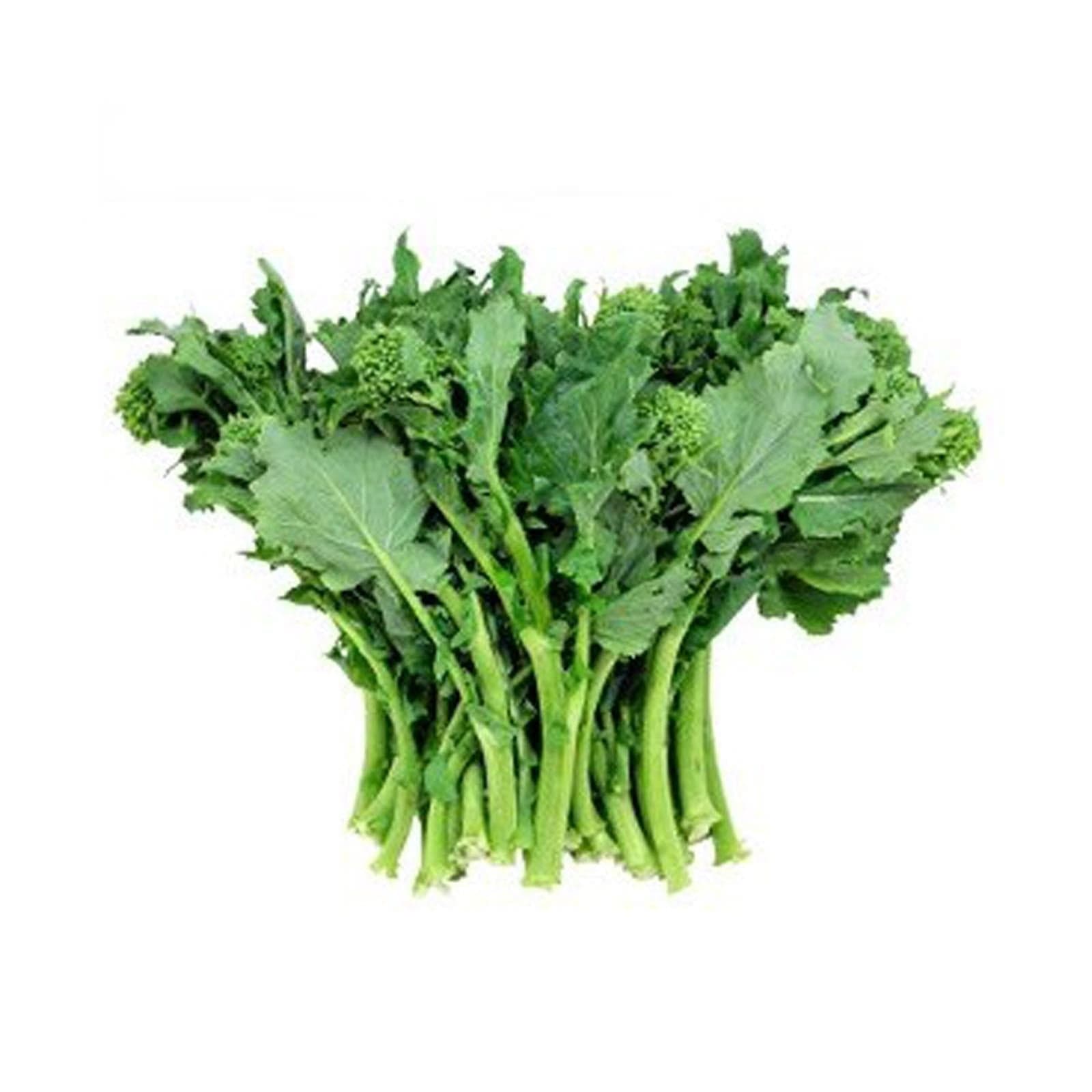 Semi di cima di rapa molfettese 60 giorni cima grande pugliese - 3