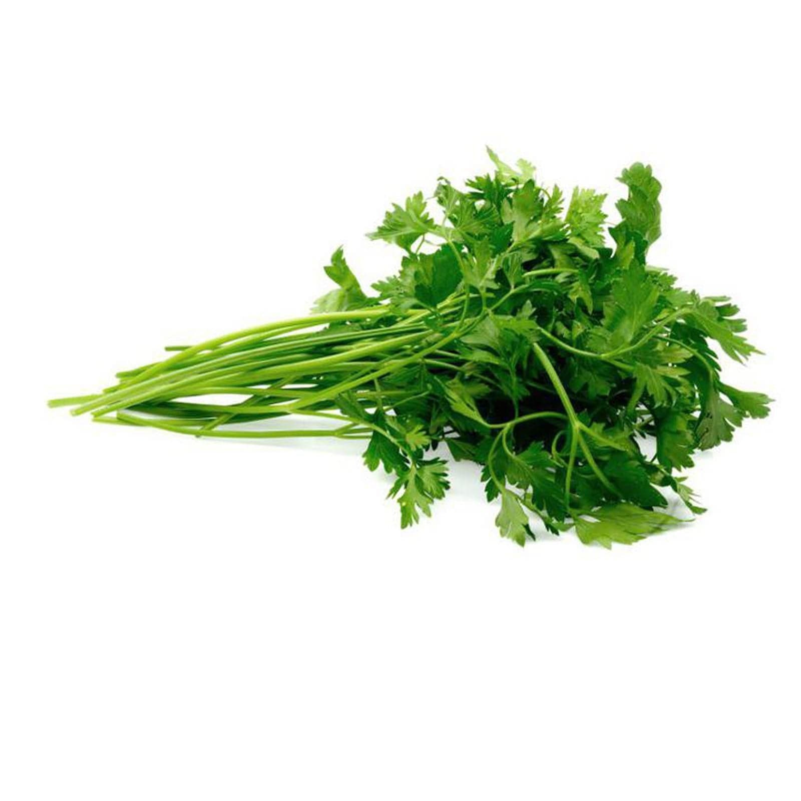 Semi prezzemolo comune foglia piccola sementi italiano aromatiche piante gr 10 - 2