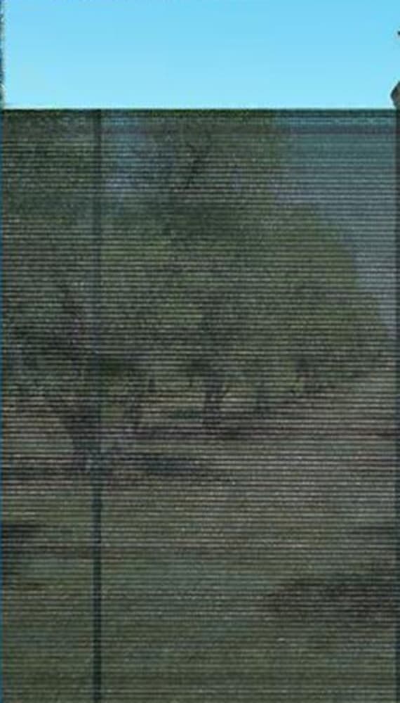 RETE OMBREGGIANTE FRANGIVISTA SPESSA ROTOLO 2X100MT GRN45 PER RECINZIONI GIARDINI 240547 - 4