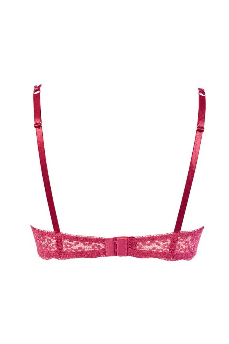 VERDISSIMA | Reggiseno francese ferretto coppa C Lace Animalier - 3