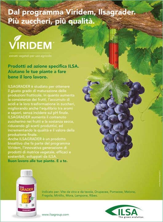 Concime fogliare "ILSA Grader" a base di potassio per frutteti e vigneti 1 lt - 2