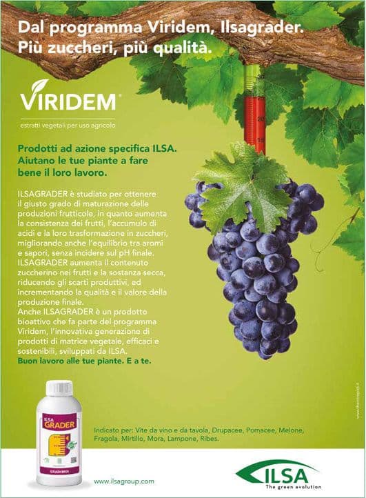 Concime fogliare "ILSA Grader" a base di potassio per frutteti e vigneti 1 lt - 2