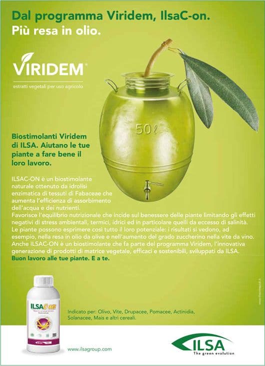 Biostimolante naturale per ulivi "ILSAC-ON" a base di idrolizzato enzimatico Fabaceae 1 lt - 3