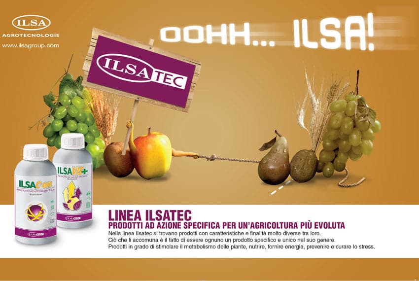 Biostimolante naturale per ulivi "ILSAC-ON" a base di idrolizzato enzimatico Fabaceae 1 lt - 4
