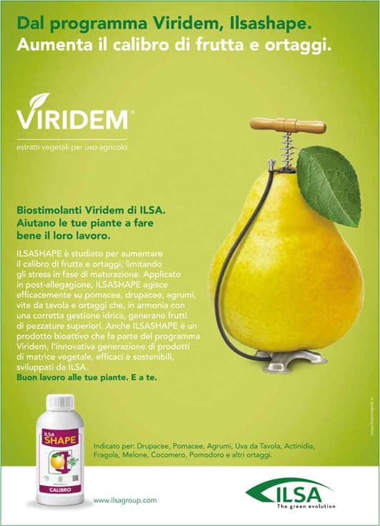 Concime fogliare azotato "ILSA Shape" a base di azoto per frutteti e ortaggi 1 lt - 2