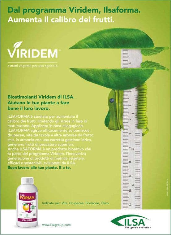 Concime fogliare azotato "ILSA Shape" a base di azoto per frutteti e ortaggi 1 lt - 3