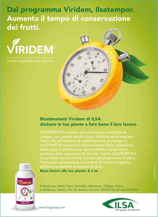 Biostimolante per frutteti ed ortaggi "ILSA DURADA" a base di idrolizzato enzimatico Fabaceae 1 lt - 2