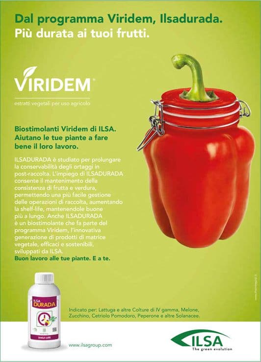 Biostimolante per frutteti ed ortaggi "ILSA DURADA" a base di idrolizzato enzimatico Fabaceae 1 lt - 3