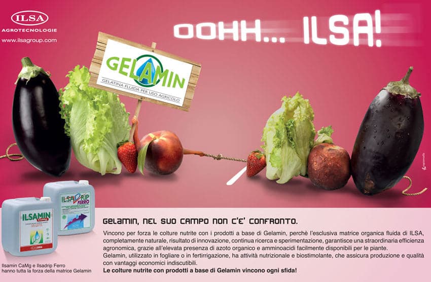 Concime fogliare "ILSA Calcio" a base di Calcio per frutteti e ortaggi 1 lt - 2