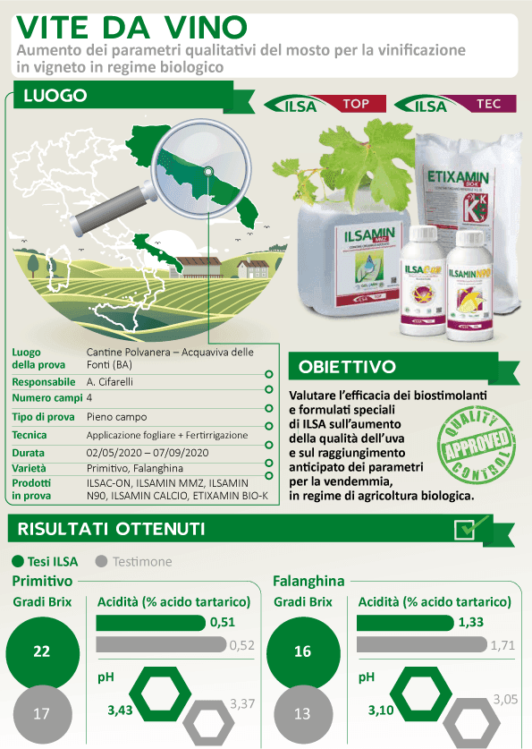 Concime organico azotato "ILSAMIN MMZ" a base di Magnesio e Manganese per frutteti e vigneti 1 lt - 2
