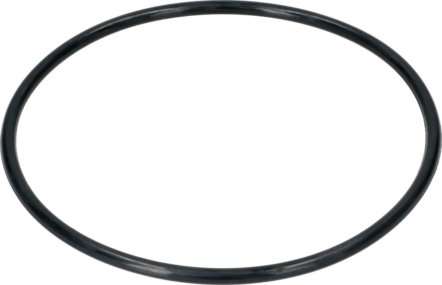 Guarnizione pozzetto lavastoviglie rex electrolux zanussi 1119186003  185x6,5mm. - 2