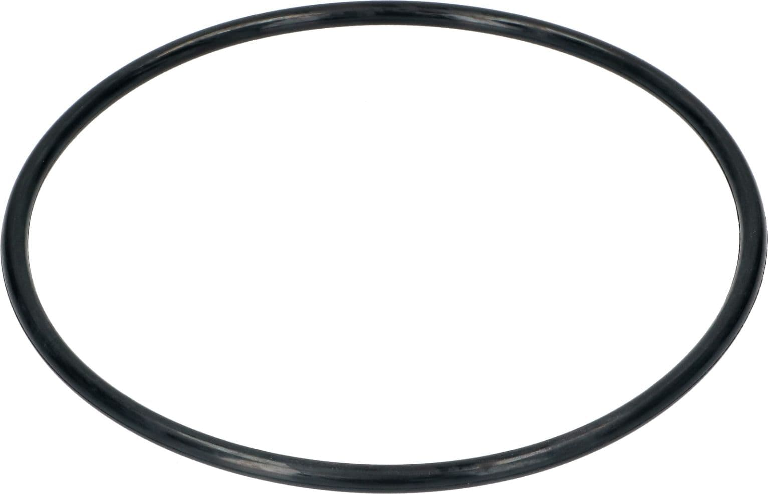 Guarnizione pozzetto lavastoviglie rex electrolux zanussi 1119186003  185x6,5mm. - 4