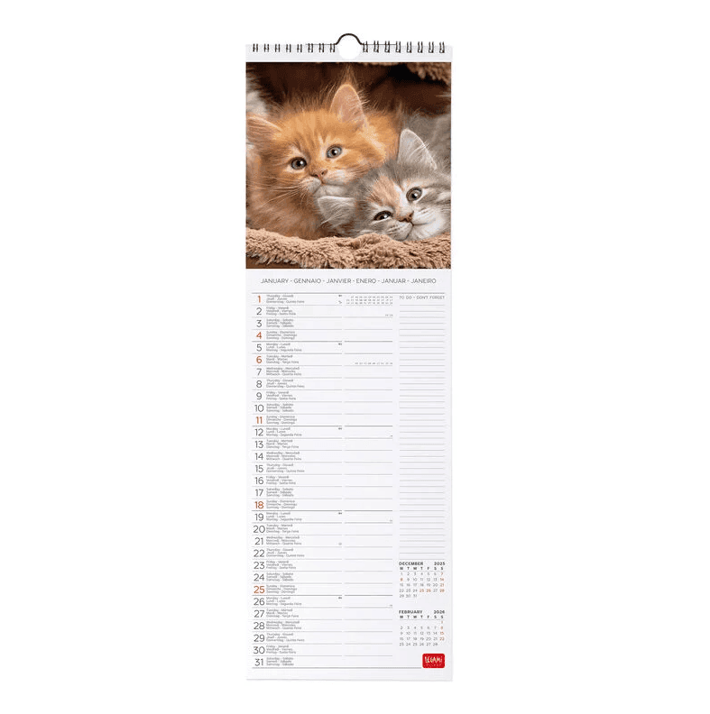 Legami - Calendario da Parete 2026 - 16 x 49 cm Kittens (CAL260059) - 2