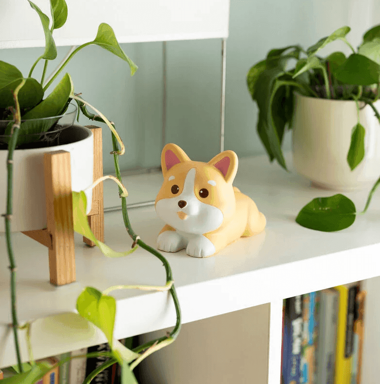 Legami - Antistress - Stress Less Corgie Fragranza Fragola (SQIF0006) - 3