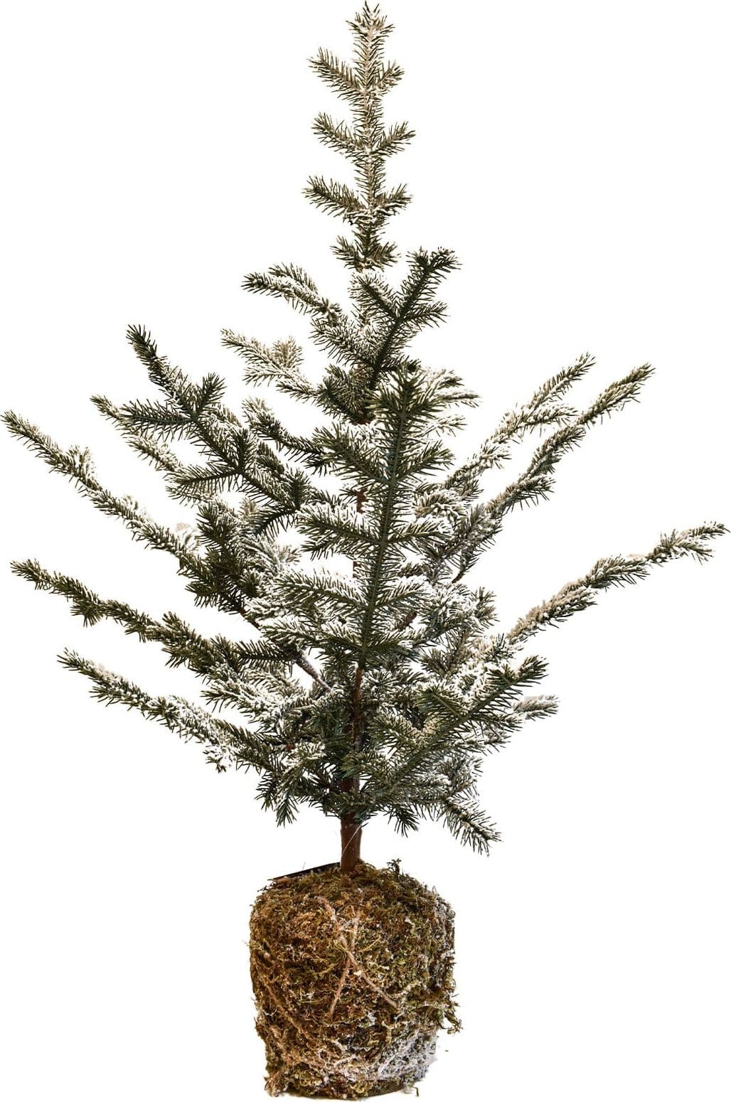 Albero "Shirley" innevato in Pe Effetto Real Touch e base in muschio h 90 cm - 3