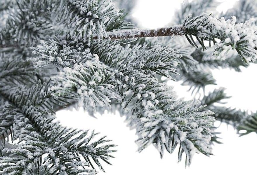 Albero "Shirley" innevato in Pe Effetto Real Touch e base in muschio h 90 cm - 2