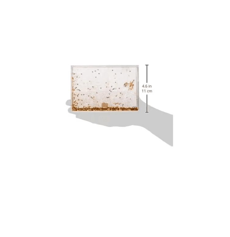 Legami - Cornice portafoto con glitter - medium (GPF0003) - 4