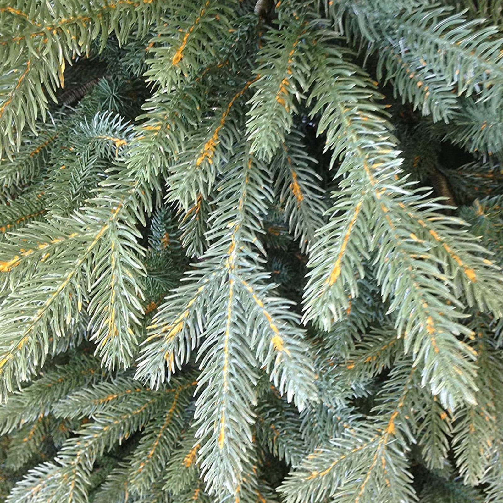 Albero di natale "Lincoln" 100 % in PE Effetto Real Touch di Altissima qualità - 3
