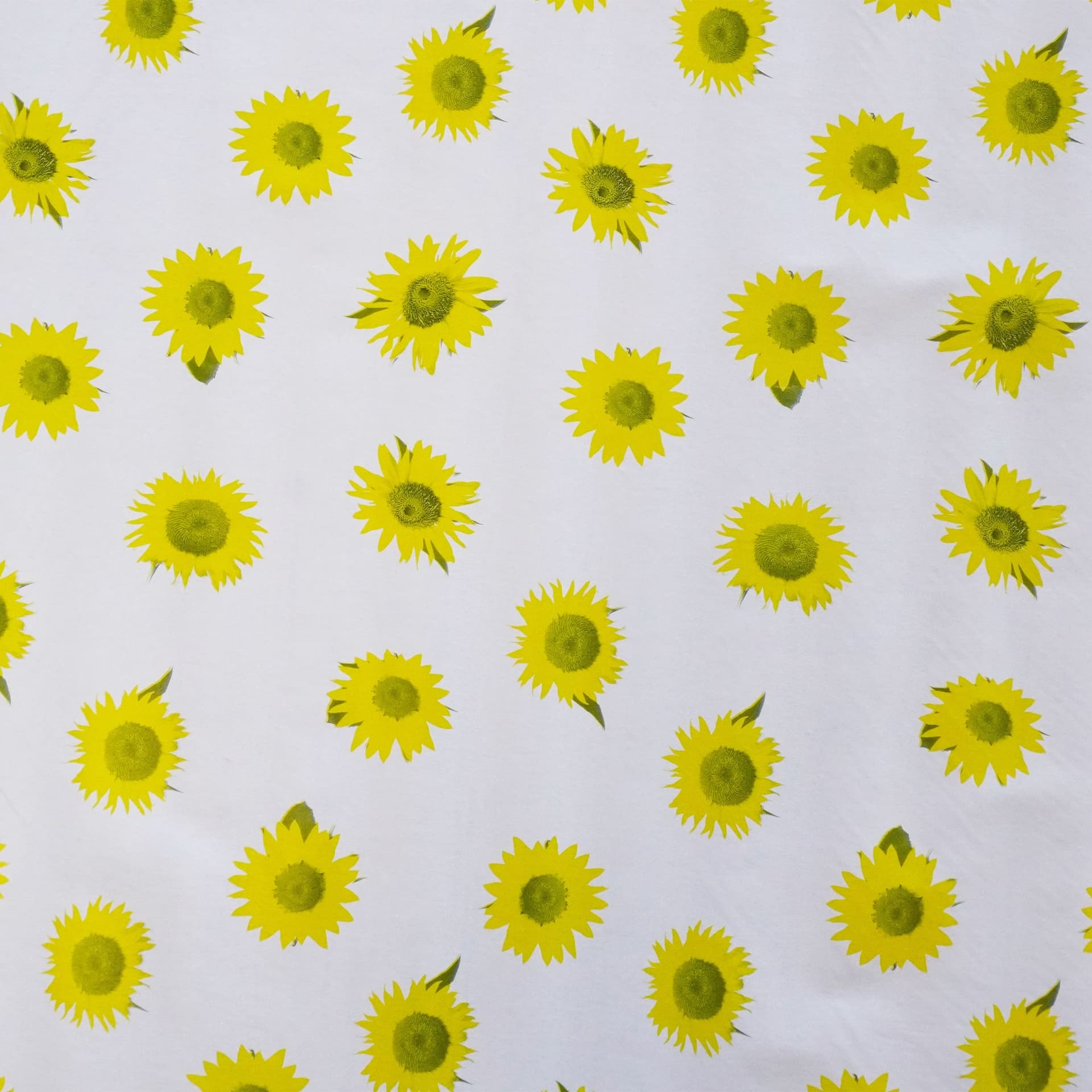 ***MEGA STOCK*** Rotolo da 20 metri (H140cm) di Tovaglia PVC telata cerata Per Casa, Sagre, Pizzerie PICCOLI GIRASOLI - 2