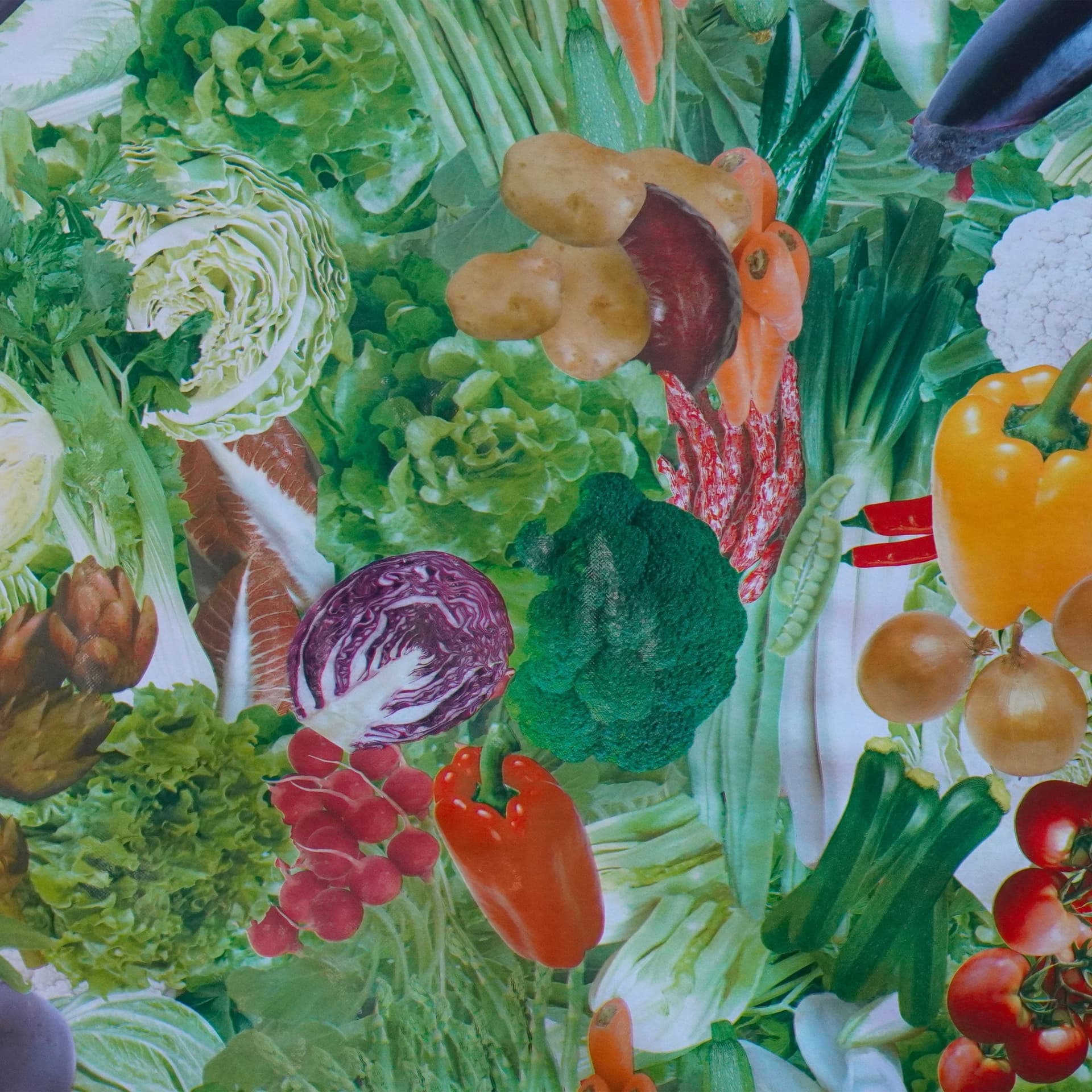 ***MEGA STOCK*** Rotolo da 20 metri (H140cm) di Tovaglia PVC telata cerata Per Casa, Sagre, Pizzerie VERDURE - 2