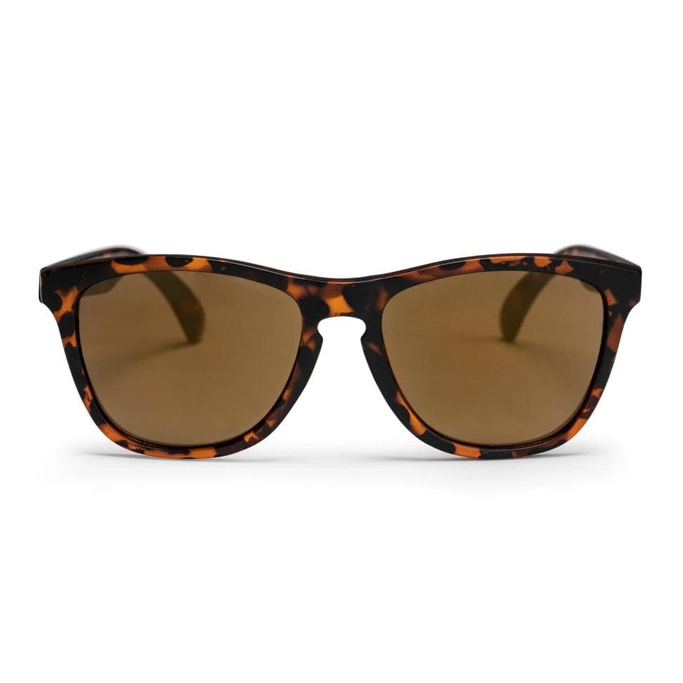 Occhiali CHPO Bodhi turtle brown 16131SD - 5