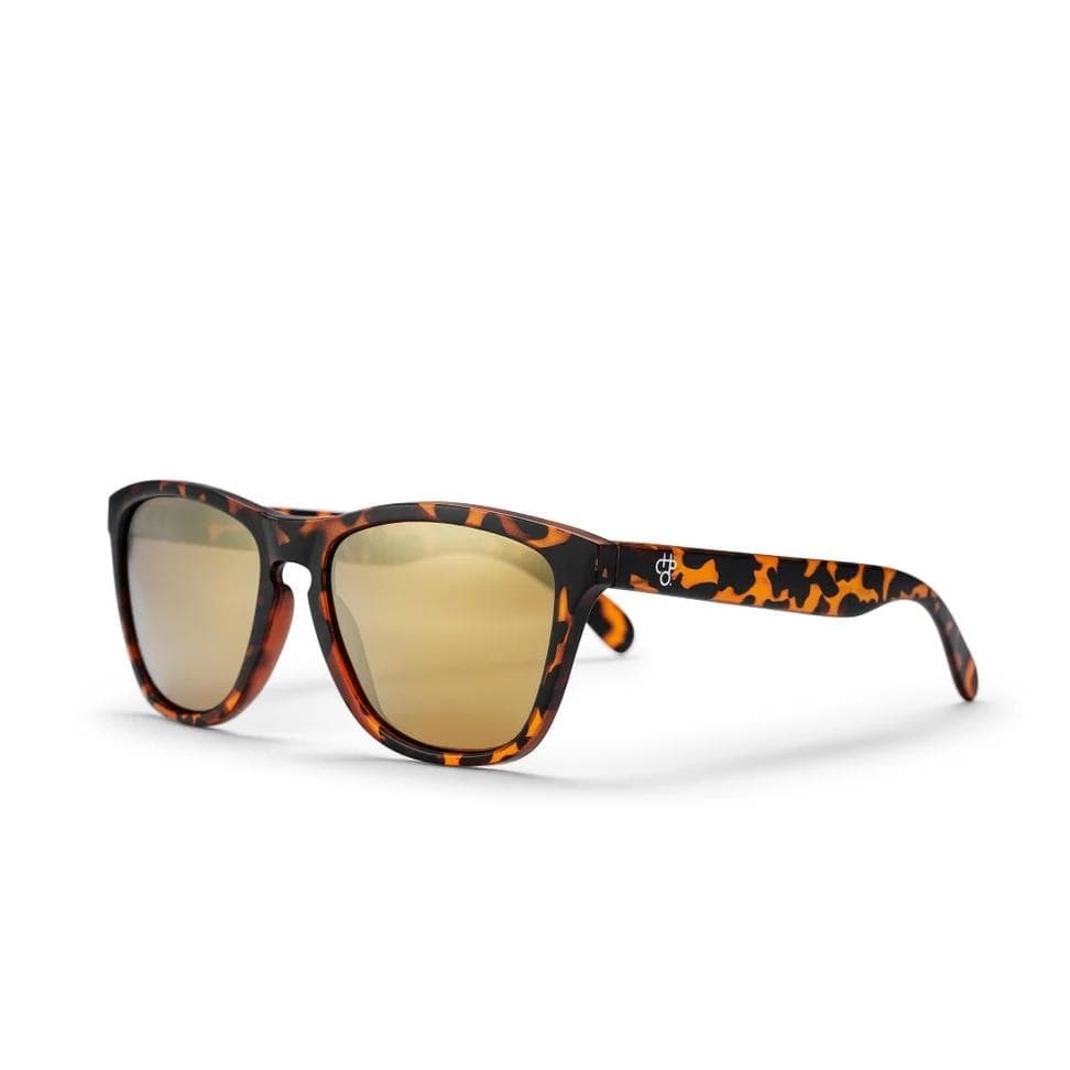 Occhiali CHPO Bodhi turtle brown 16131SD - 2