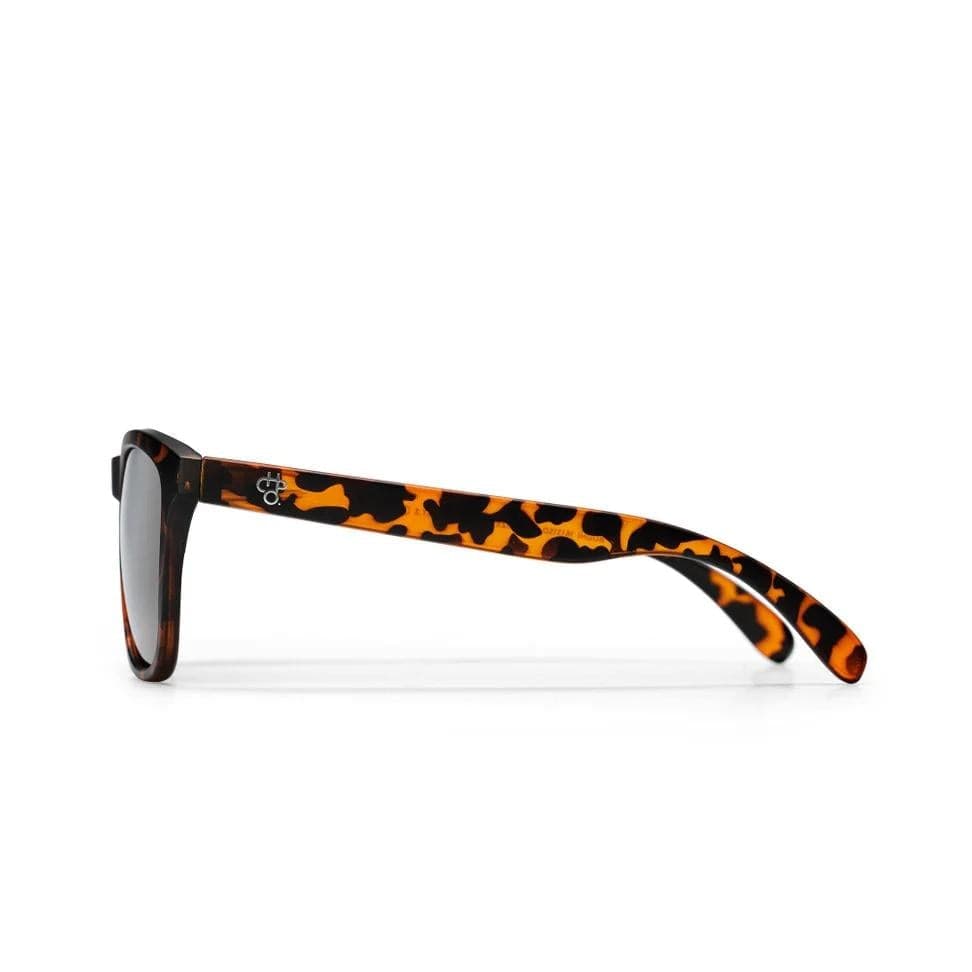 Occhiali CHPO Bodhi turtle brown 16131SD - 3